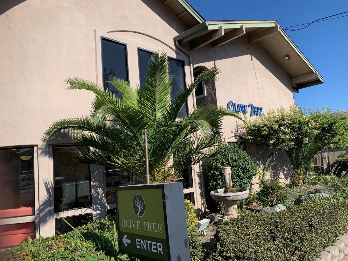 Olive Tree Inn & Suites San Luis Obispo Extérieur photo